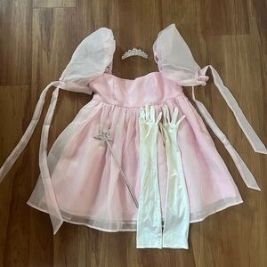 Glinda / Princess Costume